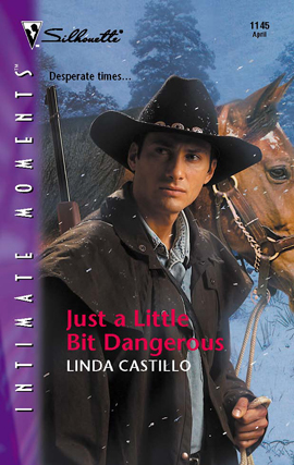 Title details for Just a Little Bit Dangerous by Linda Castillo - Available